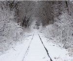 ALLN in the snow